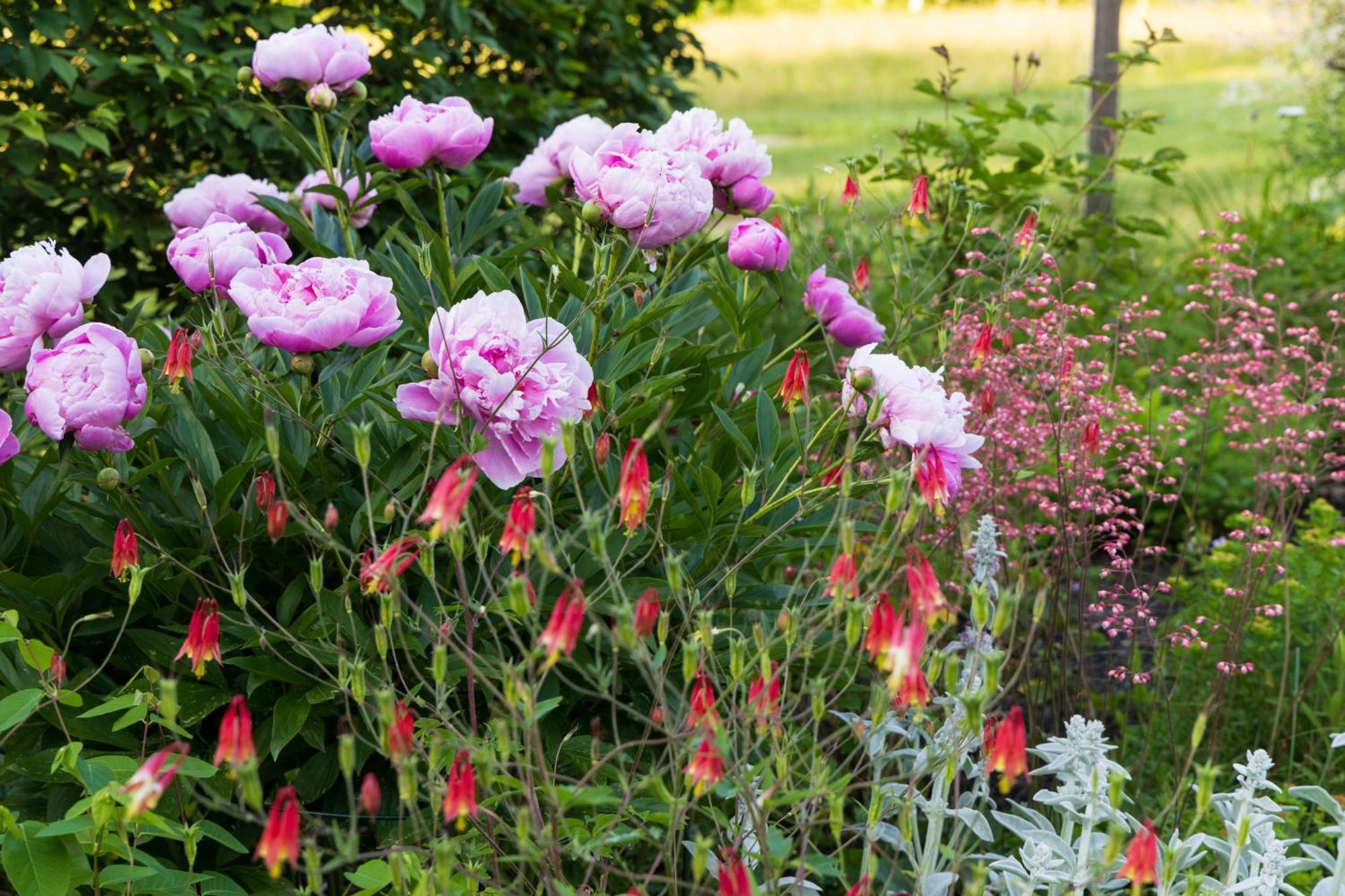 Maguire House Bed And Breakfast Ashburnham 외부 사진