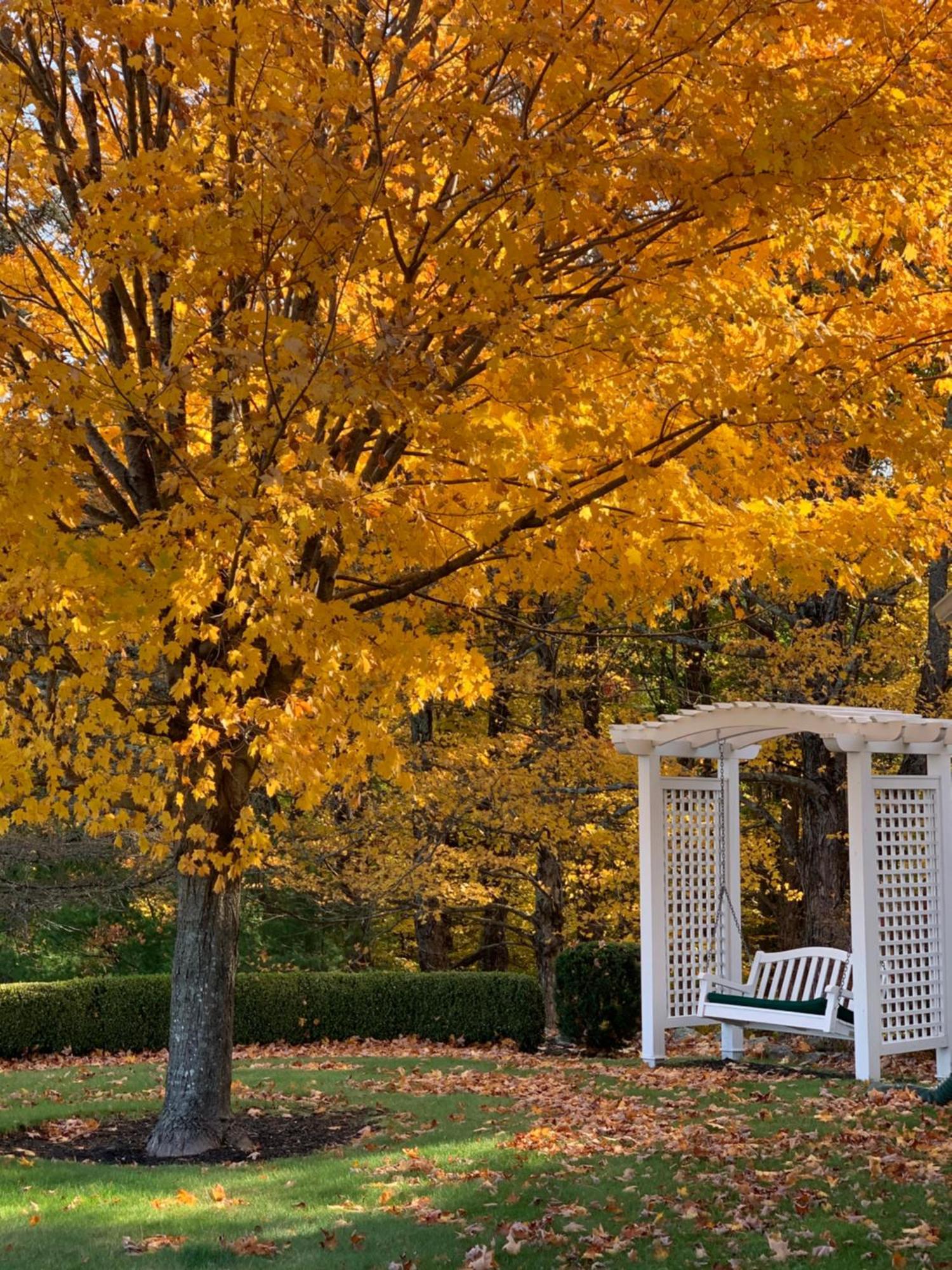 Maguire House Bed And Breakfast Ashburnham 외부 사진