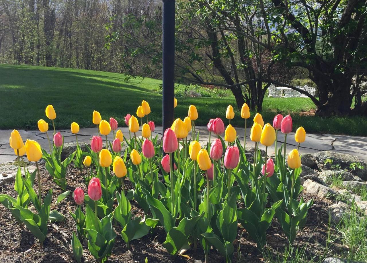 Maguire House Bed And Breakfast Ashburnham 외부 사진